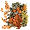 Depot Basteln & Diy>Potpourri Rustic
