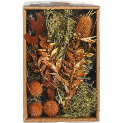 Depot Basteln & Diy>Potpourri Rustic