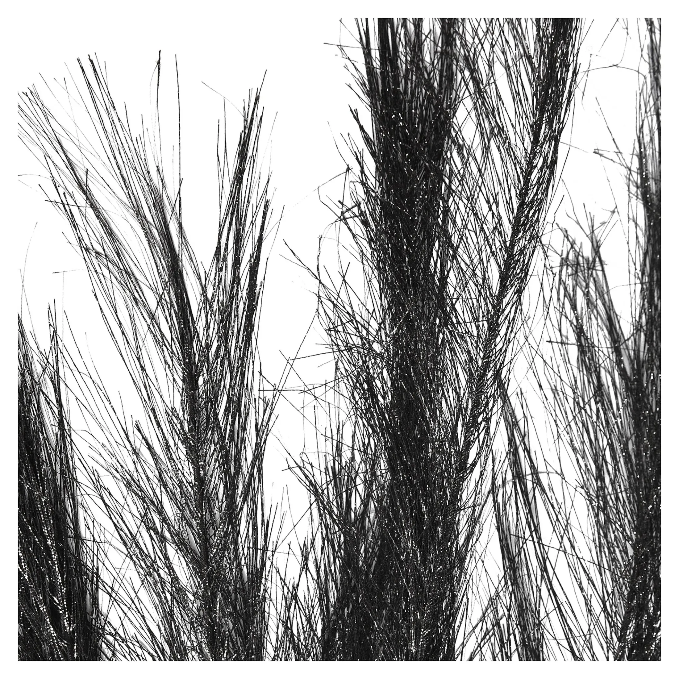 Hot Depot Stielblume Pampas Glam Ca. 110