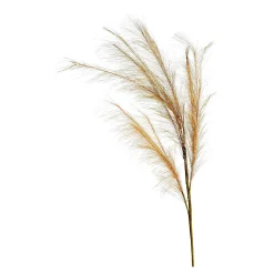 Best Depot Stielblume Pampas Glam Ca. 110
