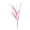 Cheap Depot Stielblume Pampas Glam Ca. 110