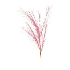 Cheap Depot Stielblume Pampas Glam Ca. 110