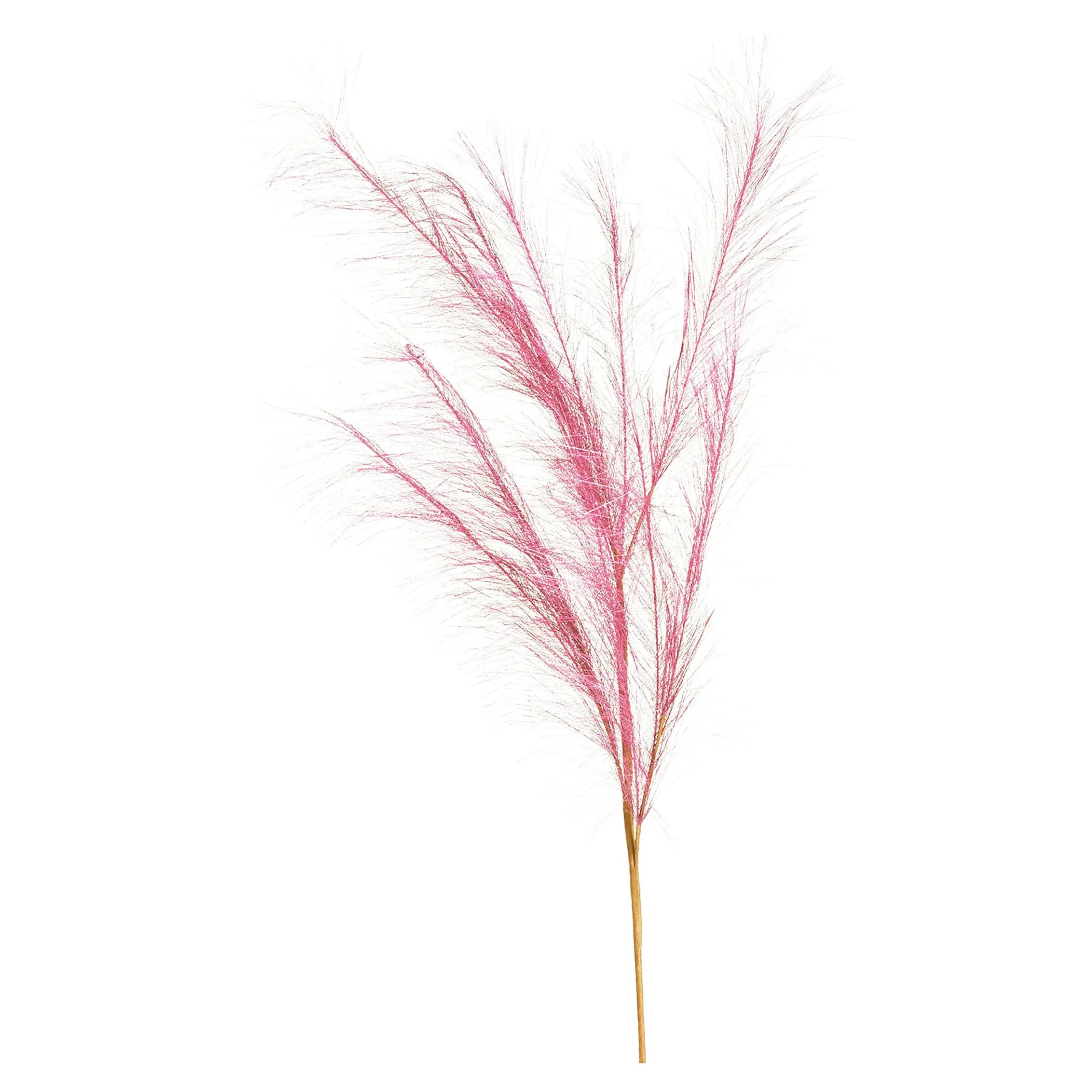 Cheap Depot Stielblume Pampas Glam Ca. 110