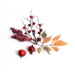Flash Sale Depot Streuartikel Beeren & Blatter