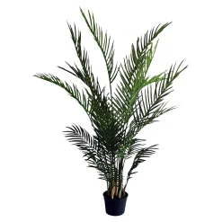 Cheap Depot Topfpflanze Arecapalme Ca. 120Cm