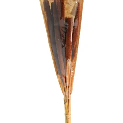 Depot Einzelblumen & Zweige><noscript><img width=