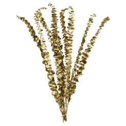 Cheap Depot Trockenblume Eukalyptus Ca.55C