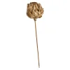 Clearance Depot Trockenblume Glitter Artichoke