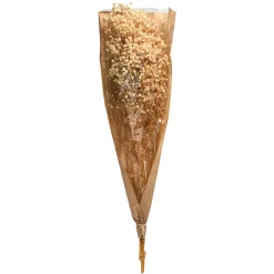 Depot Einzelblumen & Zweige><noscript><img width=