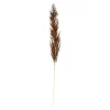 Store Depot Trockenblume Pampasgras