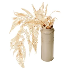 Discount Depot Trockenblumen Farn