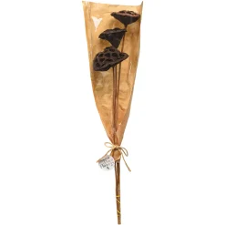 Depot Einzelblumen & Zweige><noscript><img width=