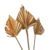 Store Depot Trockenblumen Palmleaf