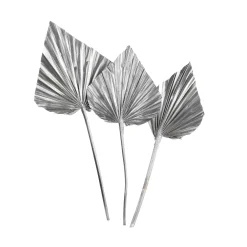 Fashion Depot Trockenblumen Palmleaf