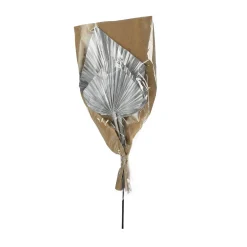Fashion Depot Trockenblumen Palmleaf