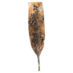 Hot Depot Trockenblumenbund Beeren
