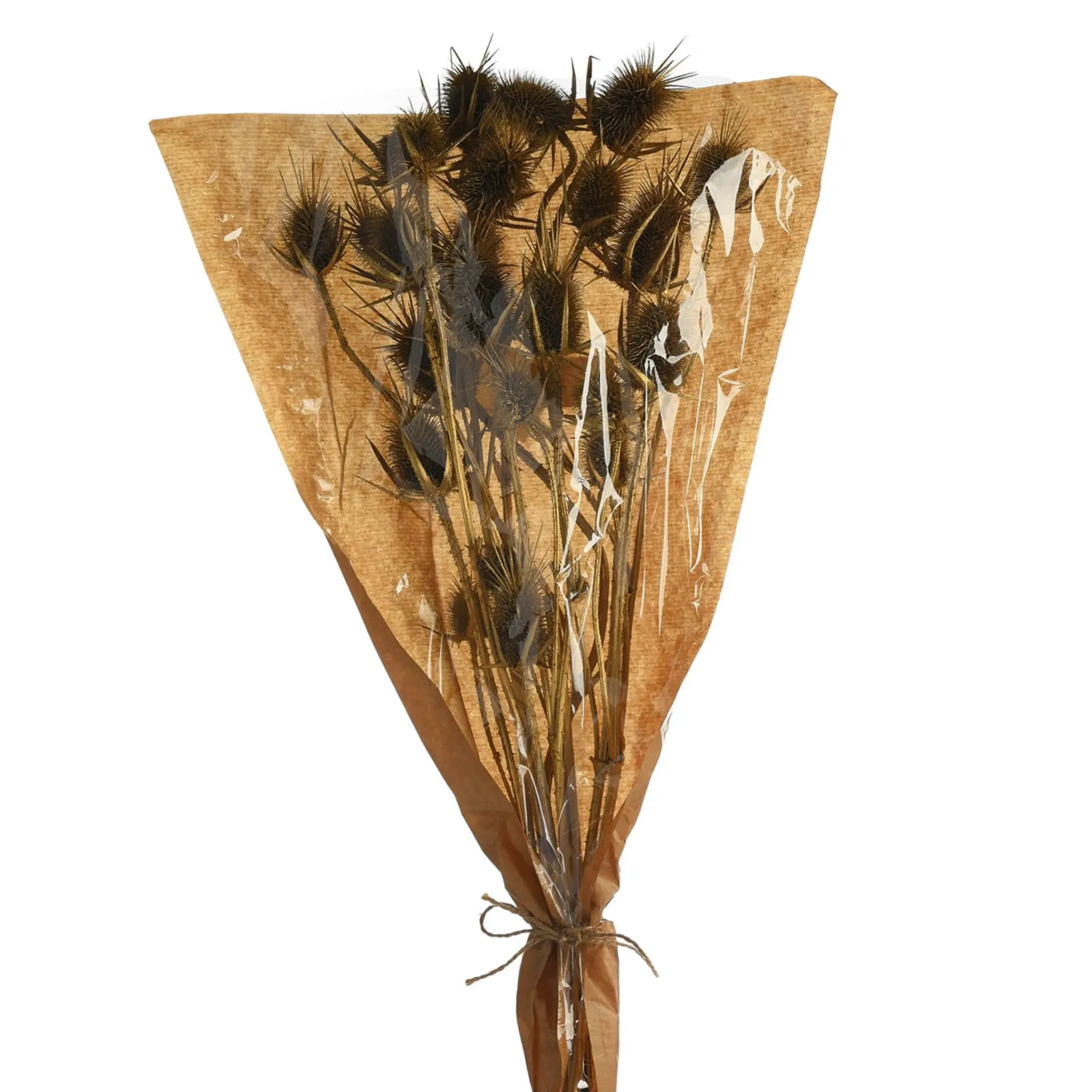 Depot Einzelblumen & Zweige>Trockenblumenbund Distel