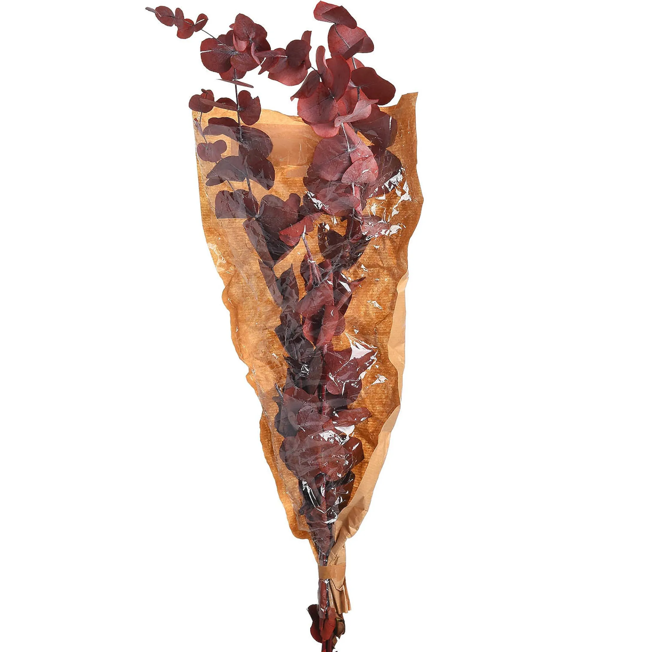 Discount Depot Trockenblumenbund Eukalyptus