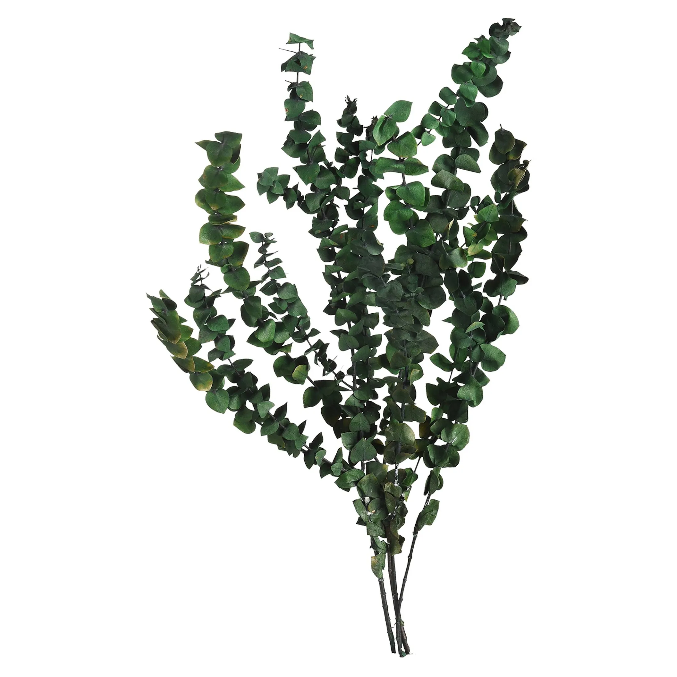 Sale Depot Trockenblumenbund Eukalyptus
