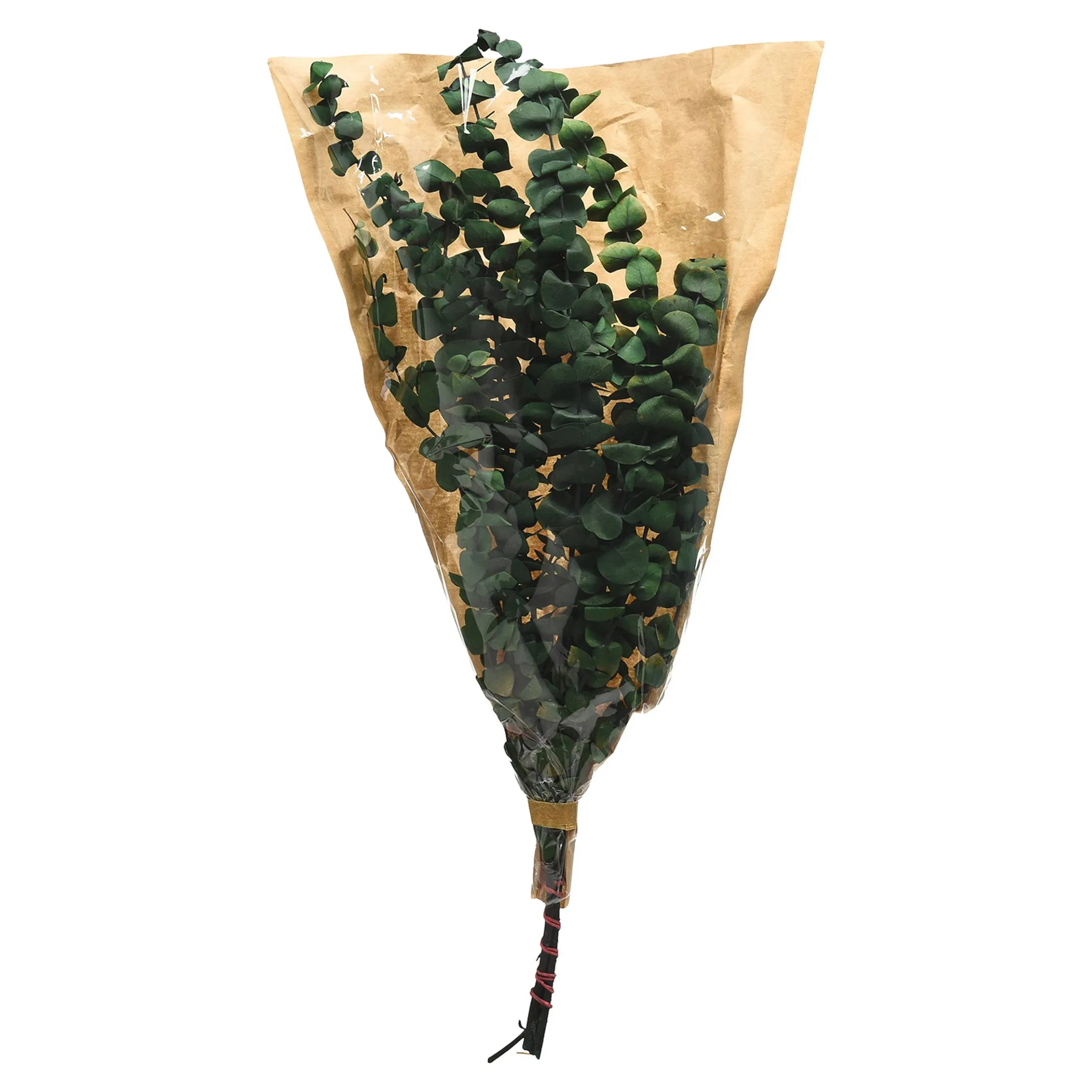 Sale Depot Trockenblumenbund Eukalyptus