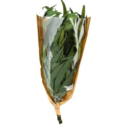 Depot Einzelblumen & Zweige><noscript><img width=