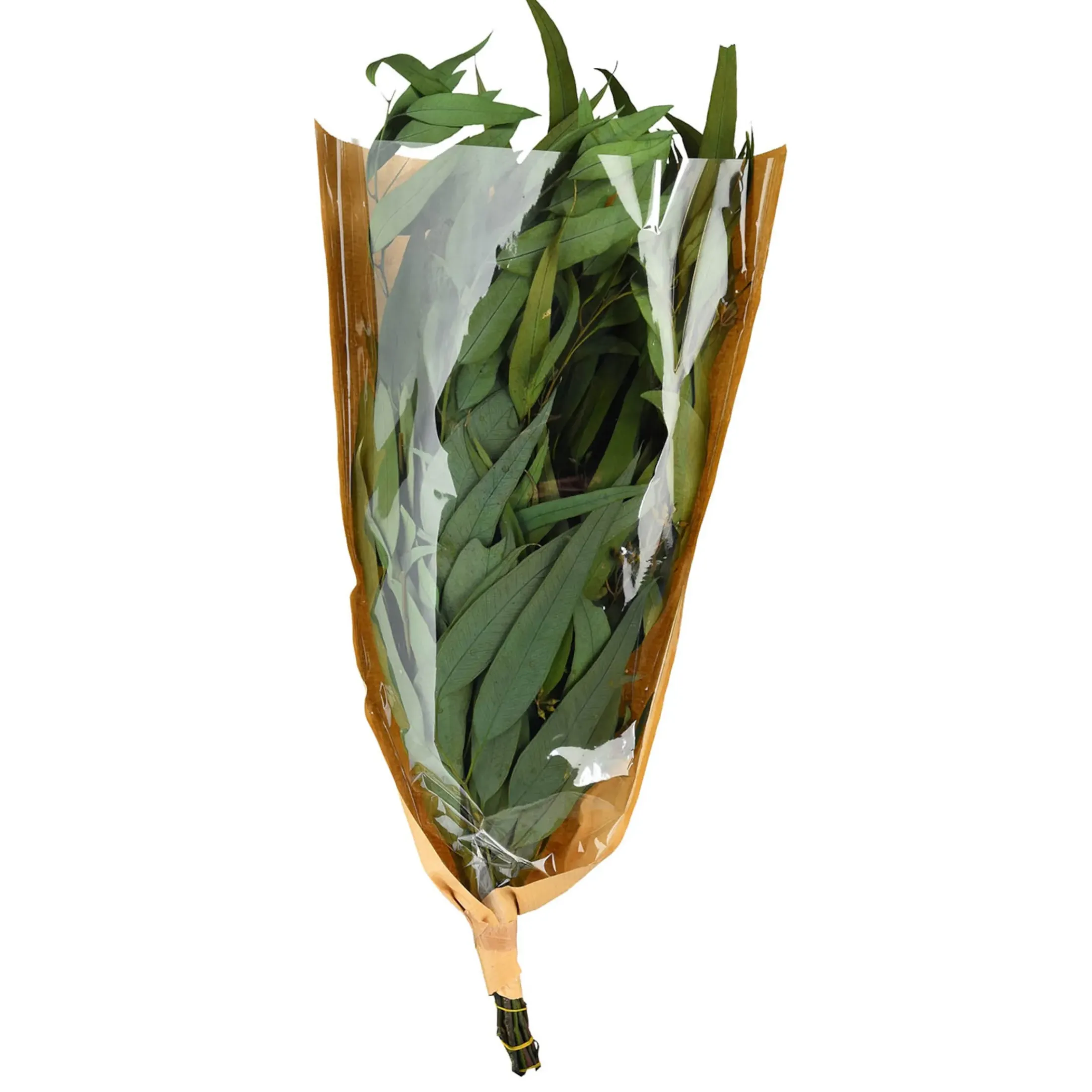 Depot Einzelblumen & Zweige>Trockenblumenbund Eukalyptus