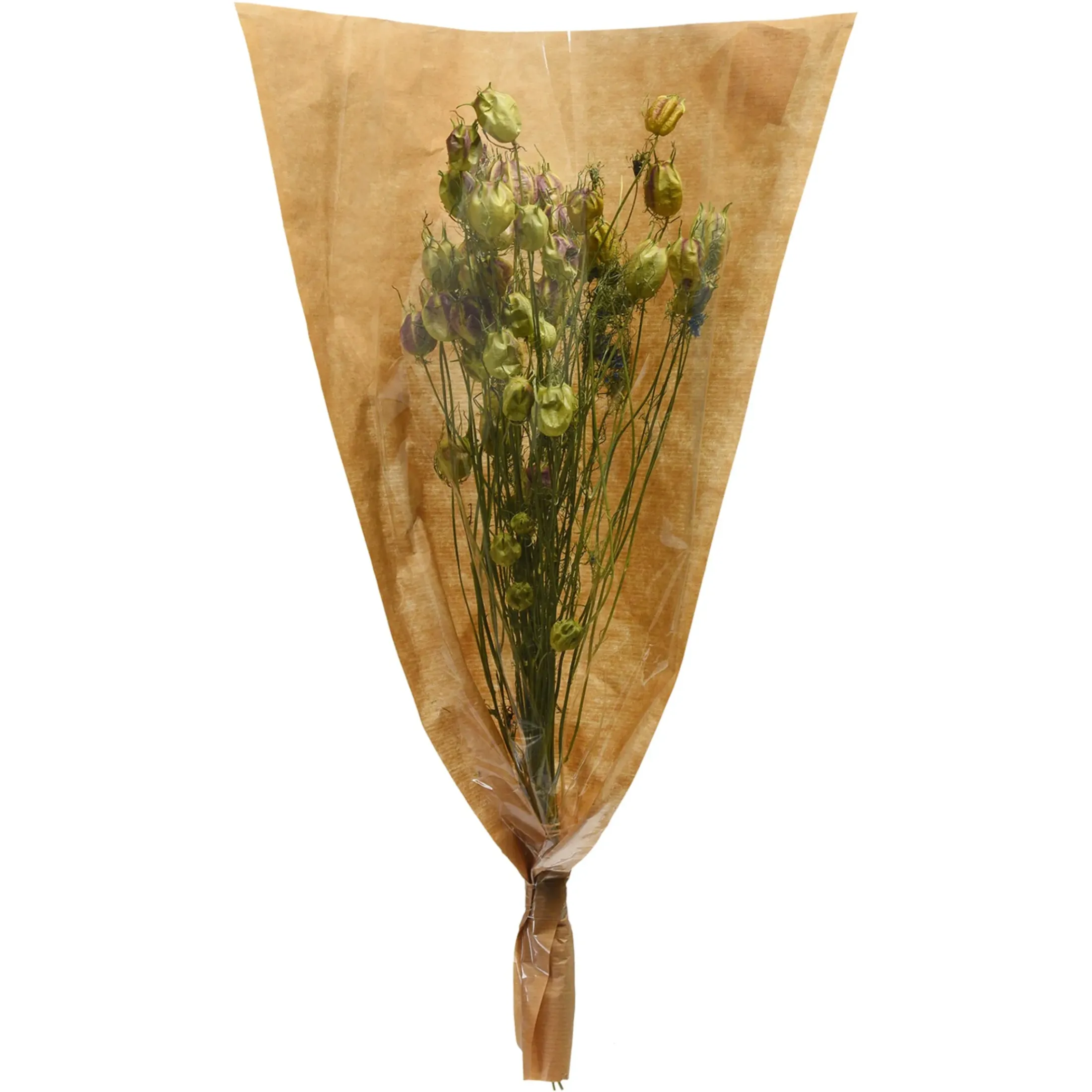 Depot Einzelblumen & Zweige>Trockenblumenbund Nigella
