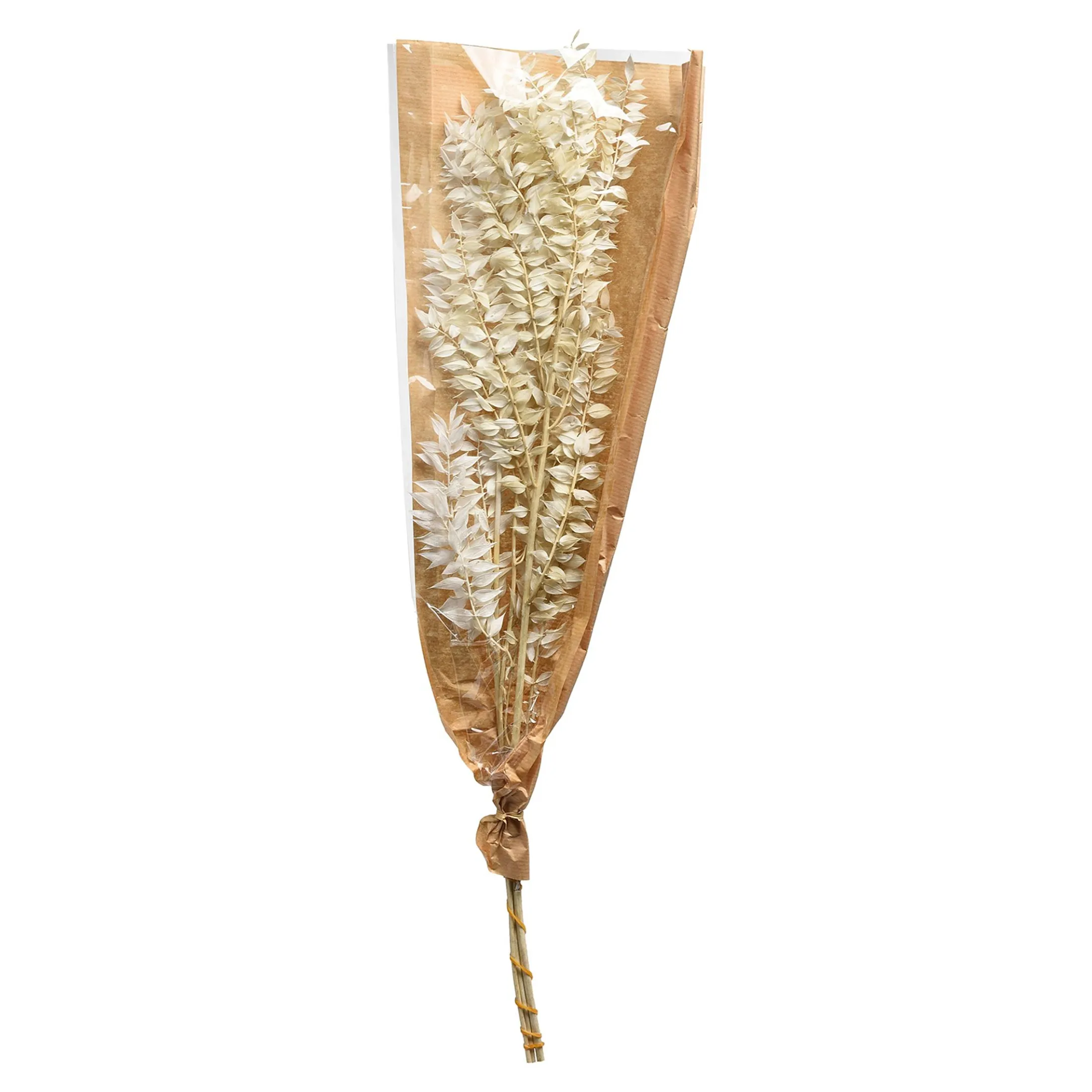 Shop Depot Trockenblumenbund Ruscus