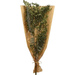 Depot Einzelblumen & Zweige>Trockenblumenbund Ruscus