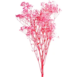Depot Einzelblumen & Zweige>Trockenblumenbund Schleierkraut