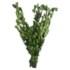 Cheap Depot Trockenbundel Buchs