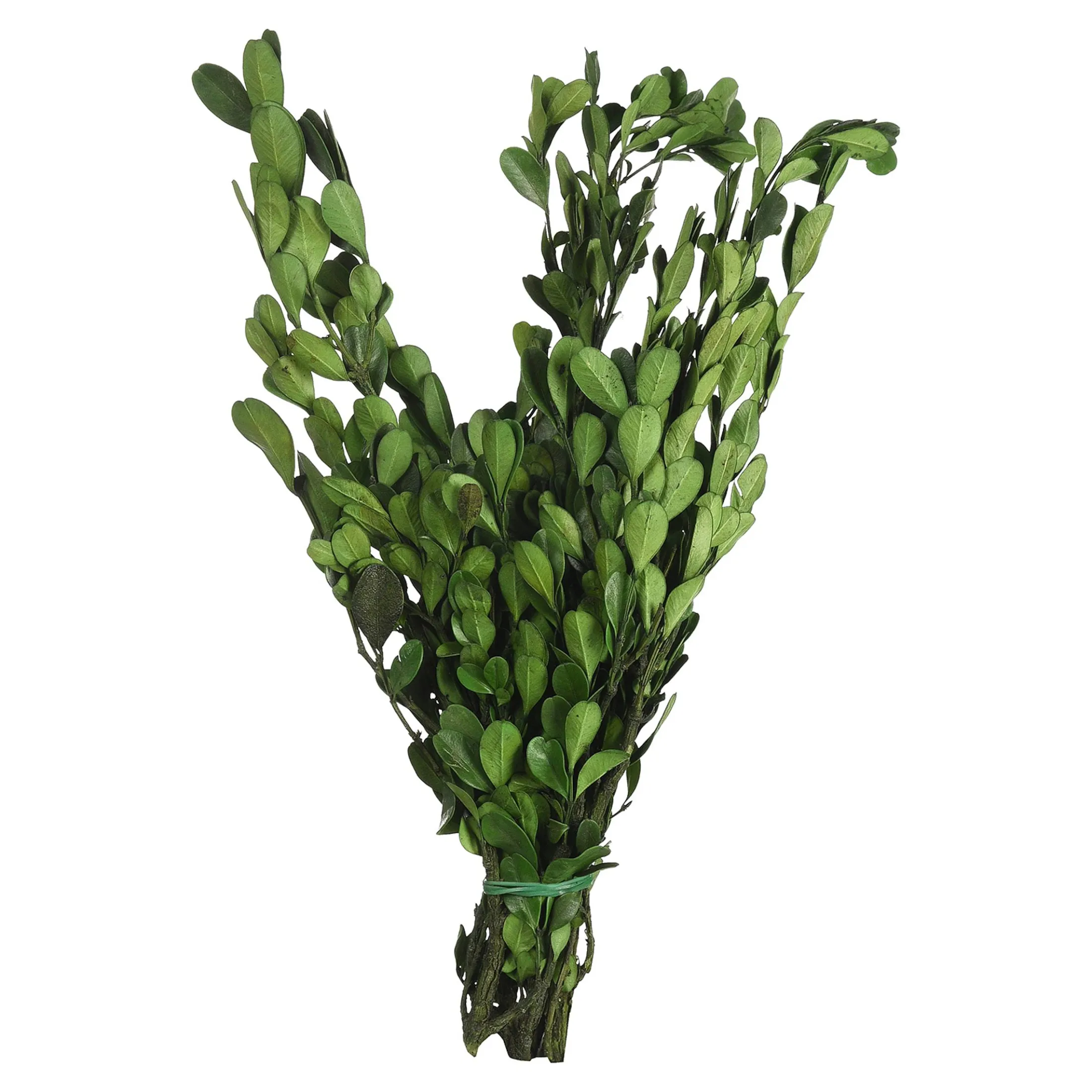 Cheap Depot Trockenbundel Buchs