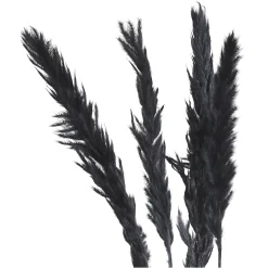 Depot Einzelblumen & Zweige>Trockenbundel Pampasgras