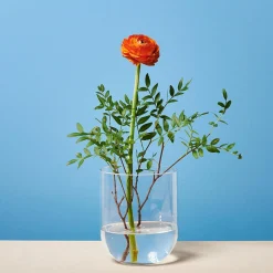 Depot Vasen>Vase Bernadette