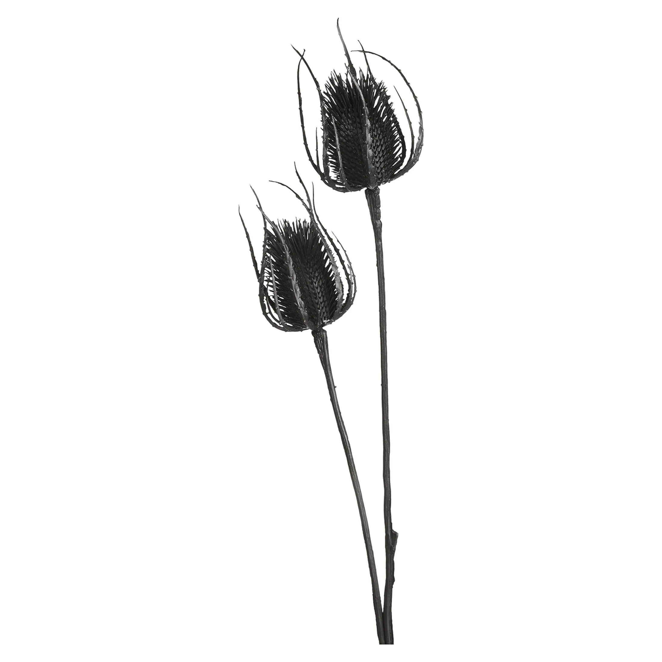 Discount Depot Zweig Distel Ca. 81Cm