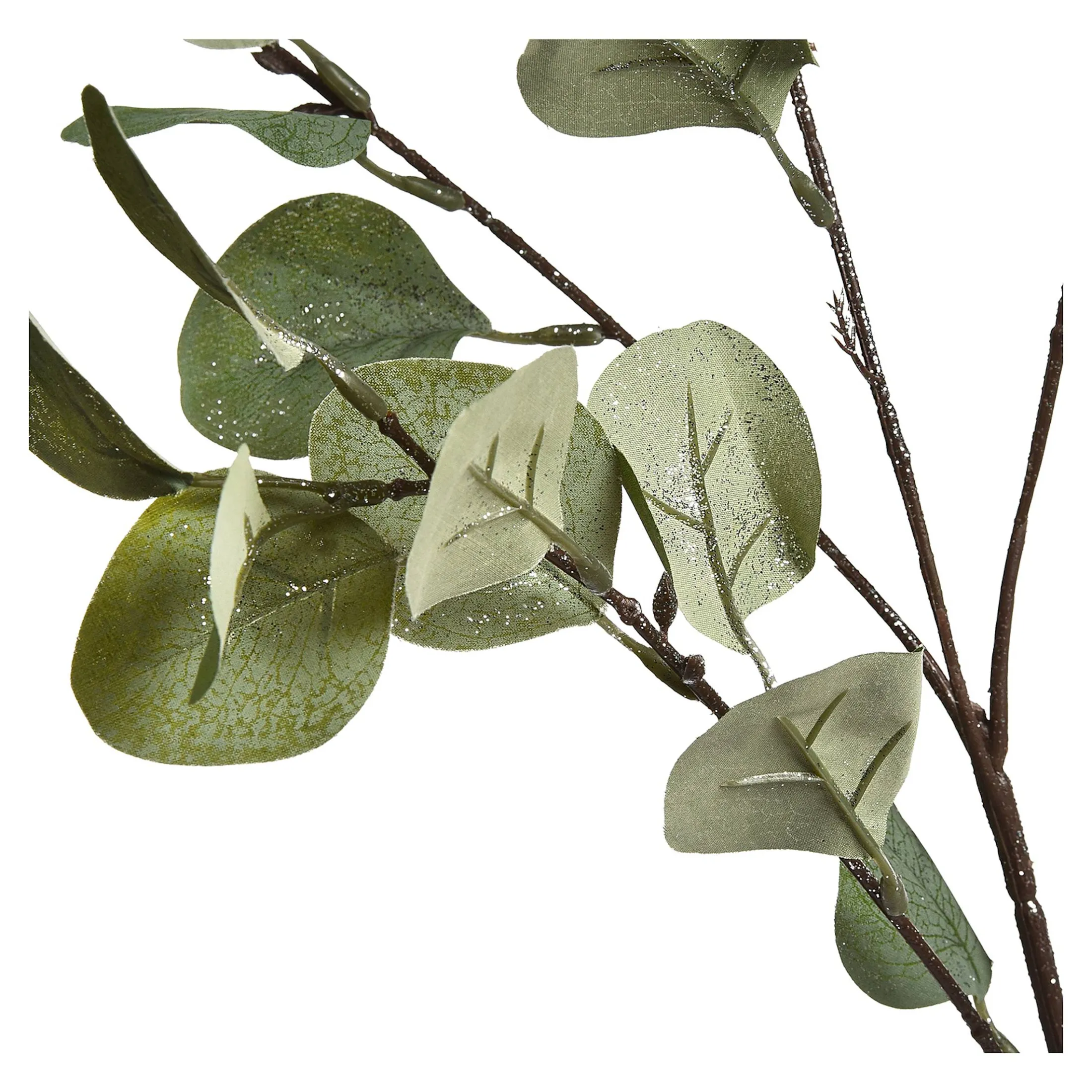 Fashion Depot Zweig Eukalyptus Ca.73Cm