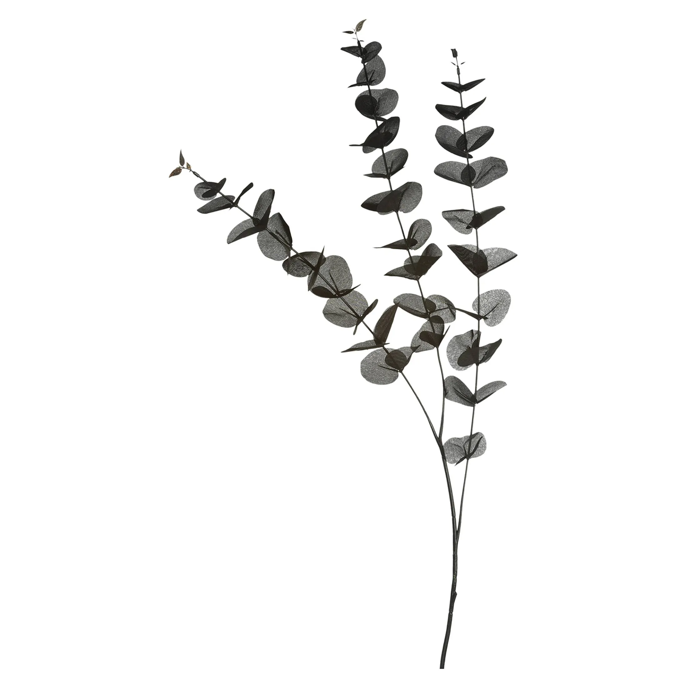 Discount Depot Zweig Eukalyptus Ca.100Cm