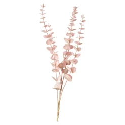 Best Sale Depot Zweig Eukalyptus Modern Ca.74Cm, Creme