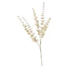Shop Depot Zweig Eukalyptus Modern Ca.74Cm, Creme