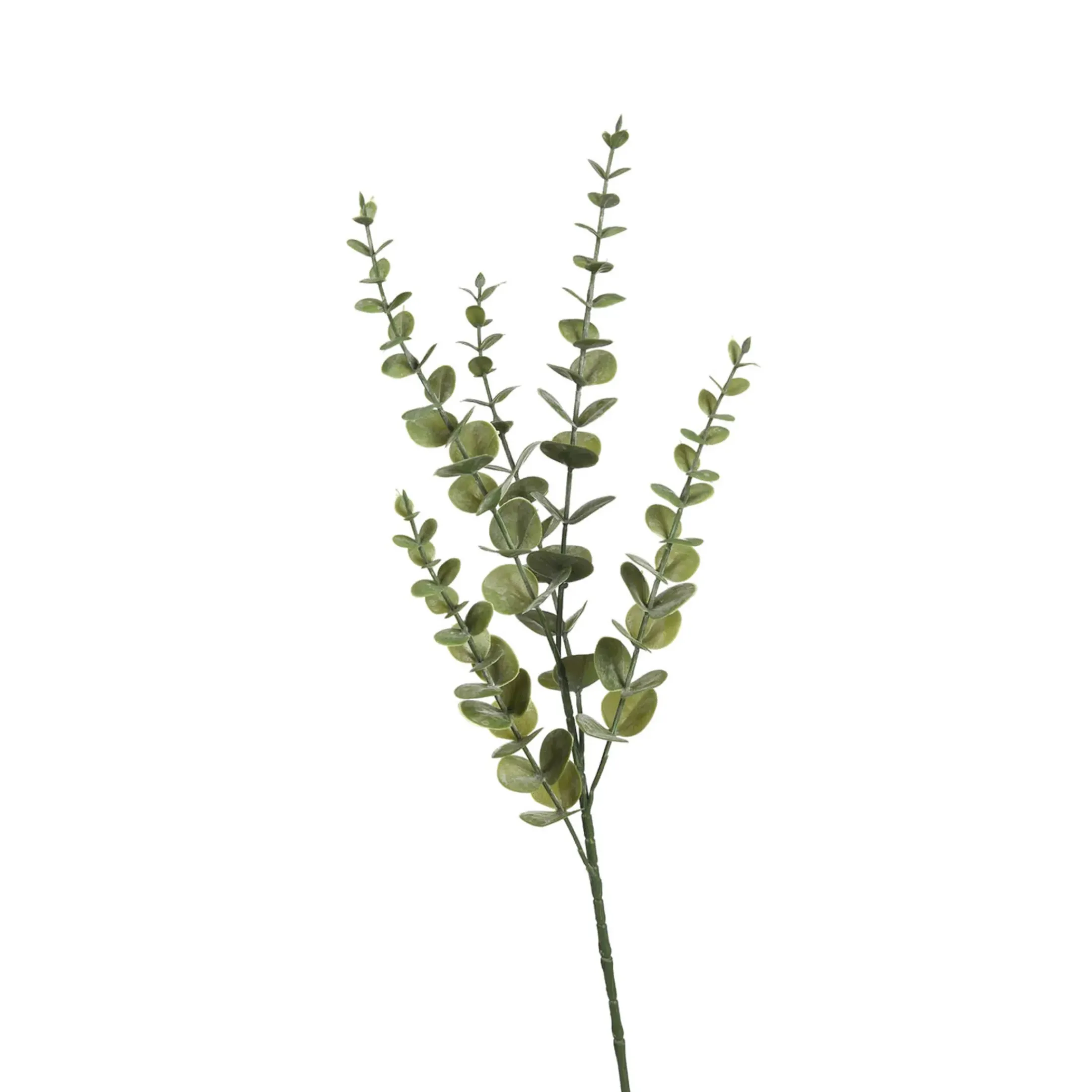 Depot Einzelblumen & Zweige>Zweig Eukalyptus Modern Ca.74Cm, Creme