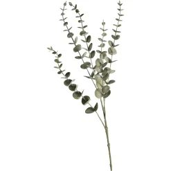 Depot Einzelblumen & Zweige>Zweig Eukalyptus Modern Ca.74Cm, Creme